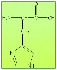 Estructura química de la histidina